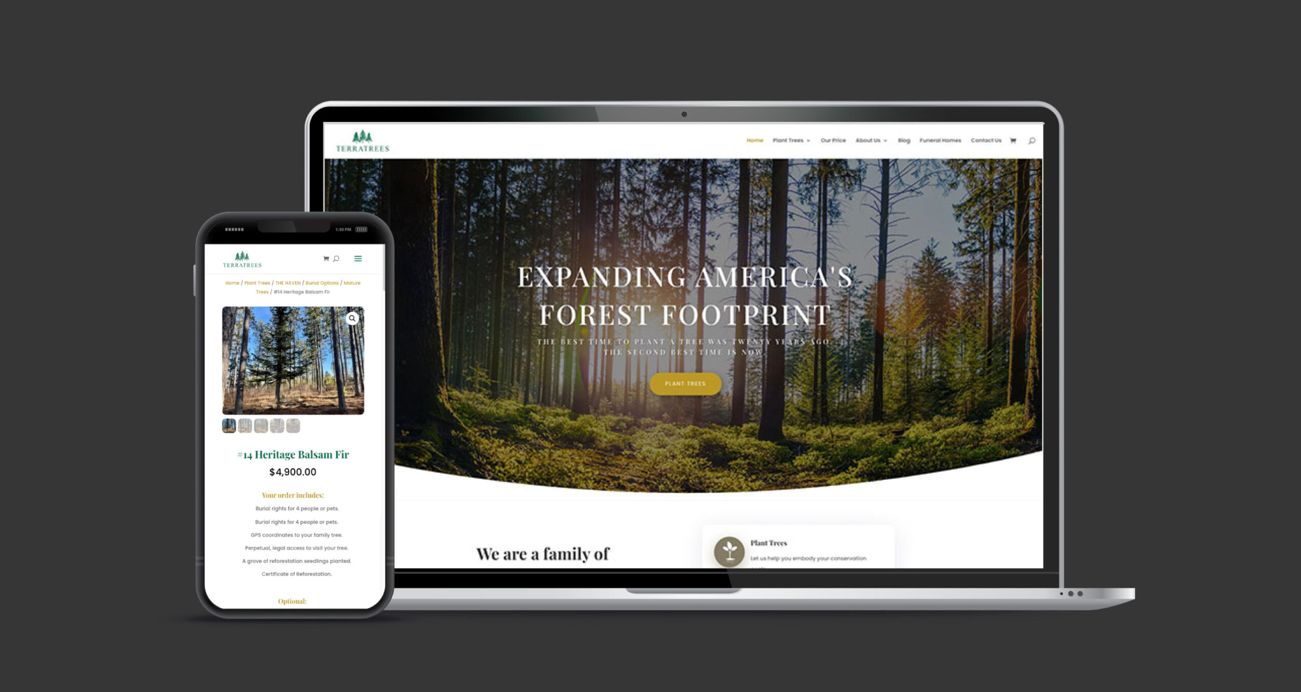 TerraTrees_HeroImage TerraTrees e-commerce redesign showing a clean, guided tree-purchasing experience on mobile and desktop.